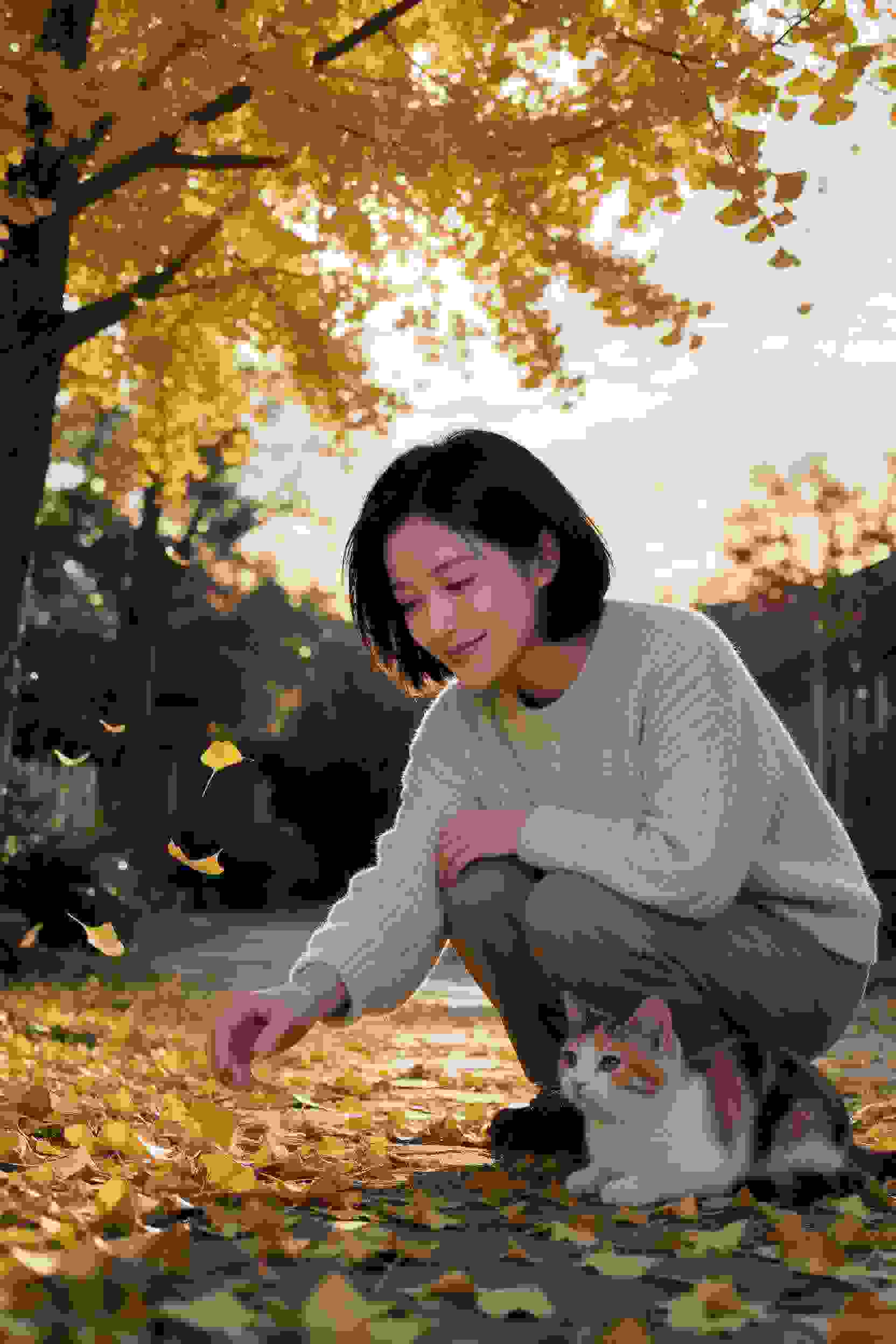 摇曳露营